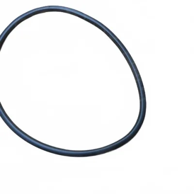 ORA Black Cat (R1) Rear Right Window Glass Run Channel – 6207172XNZ01A ORA Black Cat (R1) Rear Right Window Glass Run Channel – 6207172XNZ01A