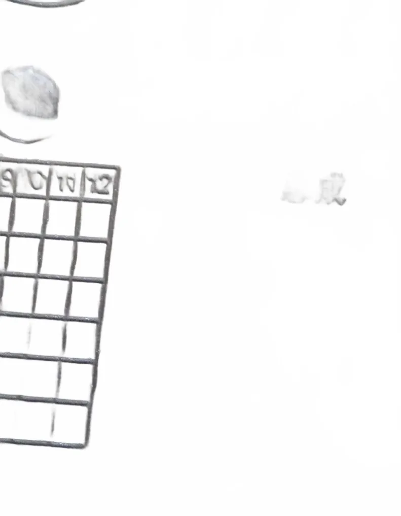white_bg_531fc15e4fcb4dcaacc6b316bde3a56b.jpg