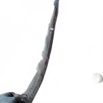 Left Roof Drip Channel for Jiangxi Isuzu D-MAX – C8980973782