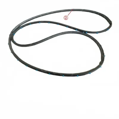 Haval Shenshou Rear Right Door Seal Strip – Part No. 6207400XKN02A