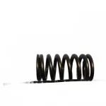 BAIC Valve Spring for BJ4G20T 2.0L Turbocharged Engine – P700000038