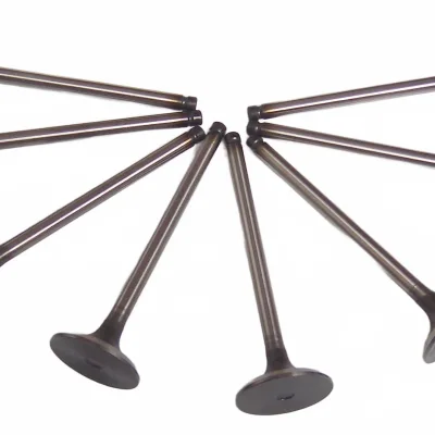 Jinbei Grace Intake Valve for SY6470 – Drawing No. DK4A-1007016 Jinbei Grace Intake Valve for SY6470 – Drawing No. DK4A-1007016