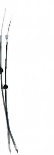 white_bg_8a9babfedb5b45159821dbfa4f71b0e6.jpg