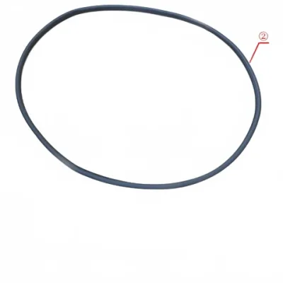 Front Right Door Frame Weatherstrip Seal for Haval H6 Guochao Edition – 6107108XKZ1DA Front Right Door Frame Weatherstrip Seal for Haval H6 Guochao Edition – 6107108XKZ1DA
