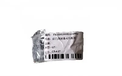 Rear Door Weatherstrip Seal for Foton View – Part No. ZD6107010-0726-001