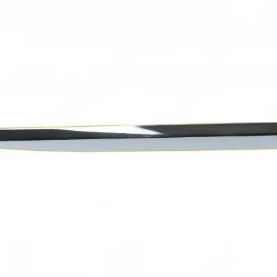 Haval H6 Upgraded Rear Left Door Anti-Collision Strip Molding – 6102013-0093-001 Haval H6 Upgraded Rear Left Door Anti-Collision Strip Molding – 6102013-0093-001