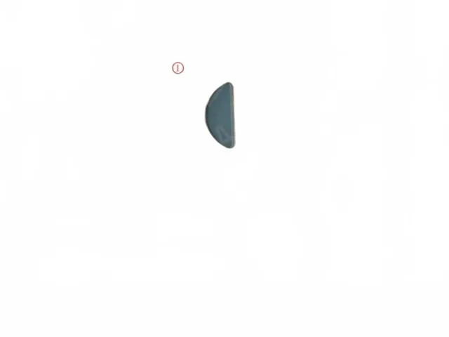white_bg_c40818474098437db8fe2d9818083058.jpg