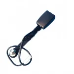 ZX Auto Terralord Front Left Seat Belt Buckle – G5815010-0000