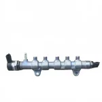 JMC High Pressure Fuel Rail Assembly for JX4D20A6L 2.0T Diesel Engine (LC1Q-9D280-AA)