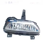 GWM Poer / P-Series Front Left Fog Light Assembly – 4116102XPW01A