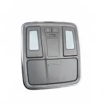 ZX Auto Terralord Interior Lamp Assembly – G4124010-0000