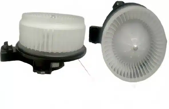 white_bg_e49b79fa17e14808aaf77c35b72713f8.jpg