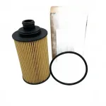 BAIC Oil Filter for BJ4F20T 2.0L Turbocharged Engine – FS1117110-0128-001