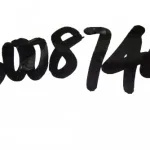 Jinbei Grace SY6470 Front Left Door Weatherstrip Seal – ZD6107010-0833-001