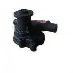BAIC Water Pump Assembly for BJ483 Gasoline Engine (1307010-0008-001)