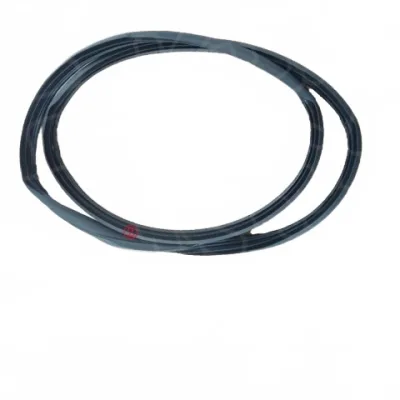 Haval Dargo Rear Left Door Frame Weatherstrip Seal – 6207107XKN04A Haval Dargo Rear Left Door Frame Weatherstrip Seal – 6207107XKN04A