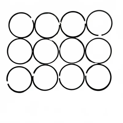 Sida Power SD490 Piston Ring Set for 3.2L Diesel Engine, Part 1004015-0061-002 Sida Power SD490 Piston Ring Set for 3.2L Diesel Engine, Part 1004015-0061-002
